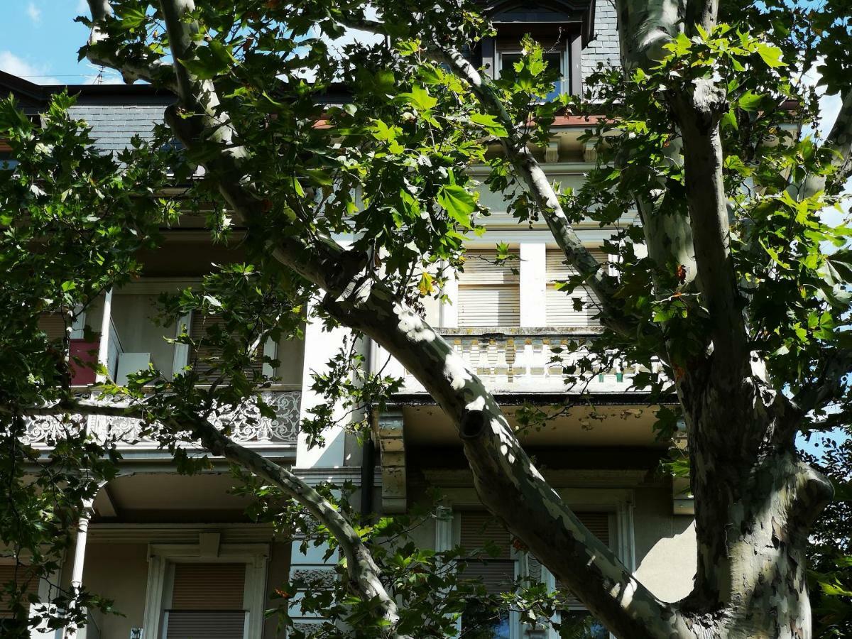Spazioso E Accogliente Nel Centro Di Merano Eksteriør billede